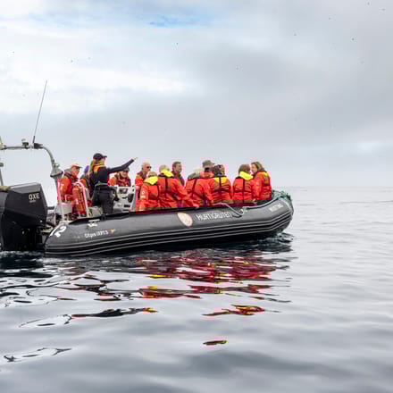 Zodiac båd ved St. Kilda, Skotland på Hurtigruten ekspeditionsrejse