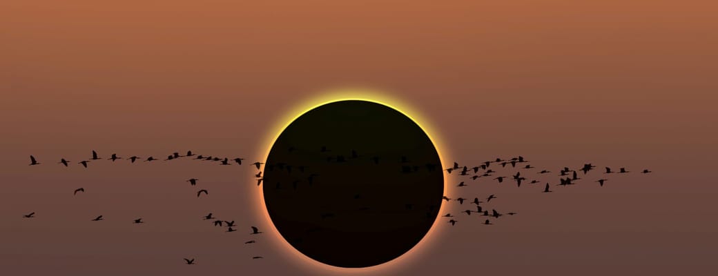 solar eclipse