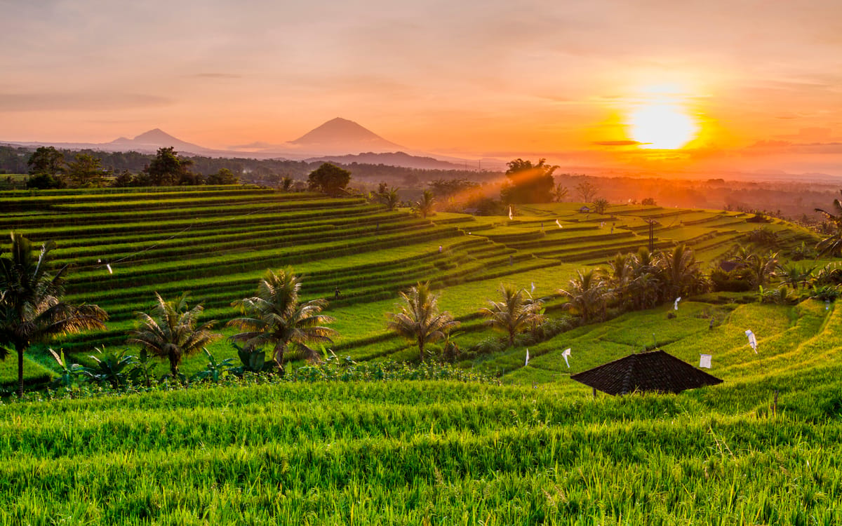Bali, Java og Singapore i skøn forening