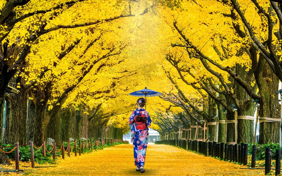 Tokyo, templer og japanske traditioner