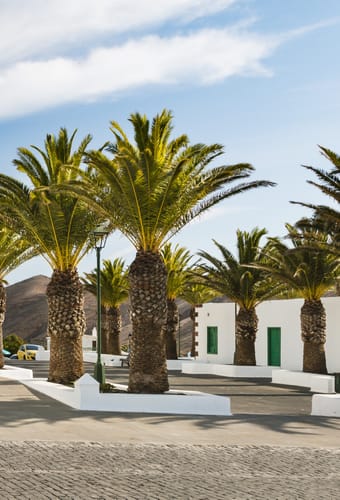 kanariske oeer lanzarote kirke palmer