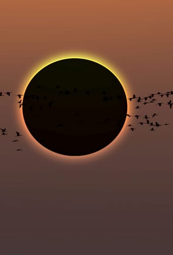 solar eclipse