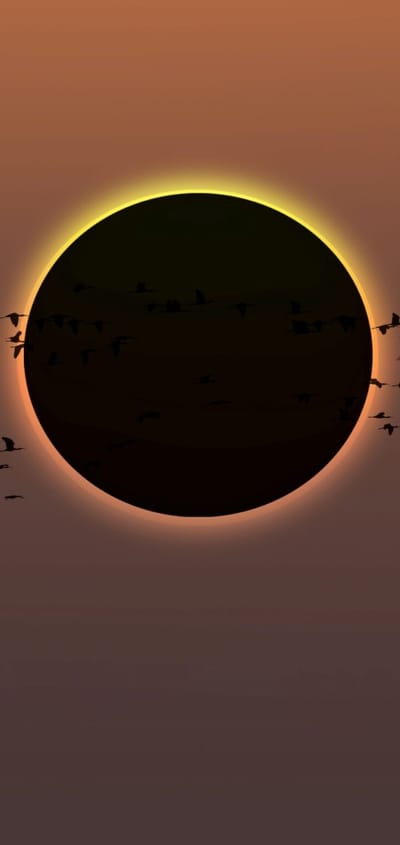 solar eclipse
