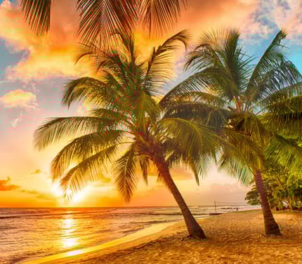 caribien barbados solnedgang