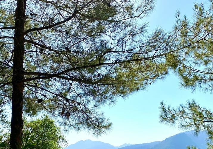 Marmaris Tyrkiet
